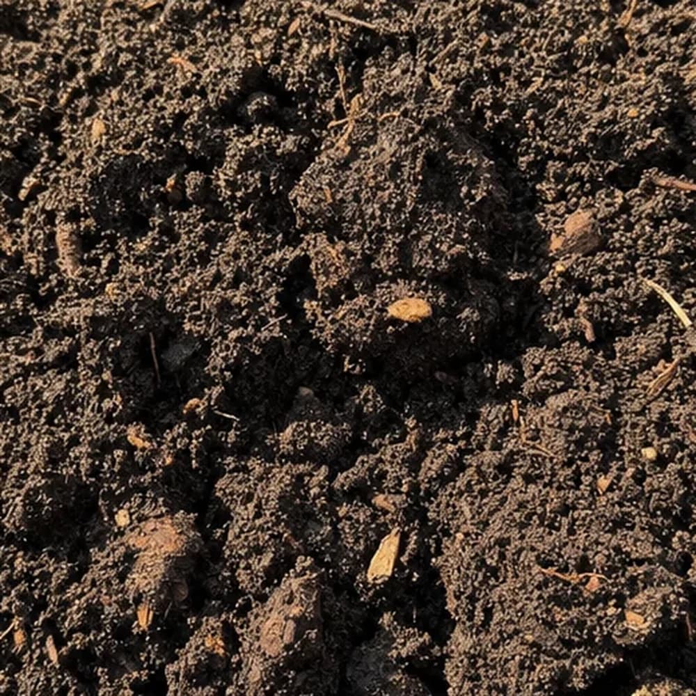 Garden Soil