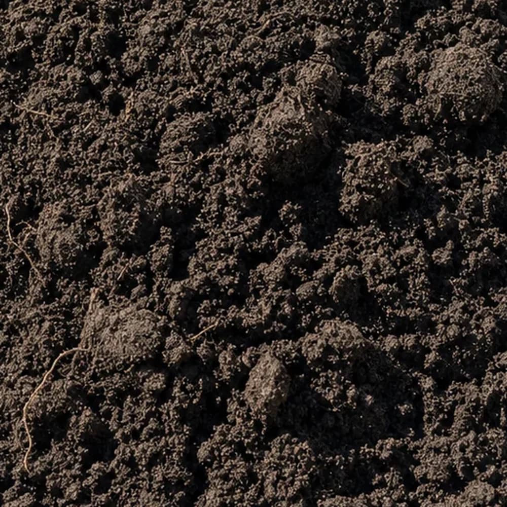 Top Soil